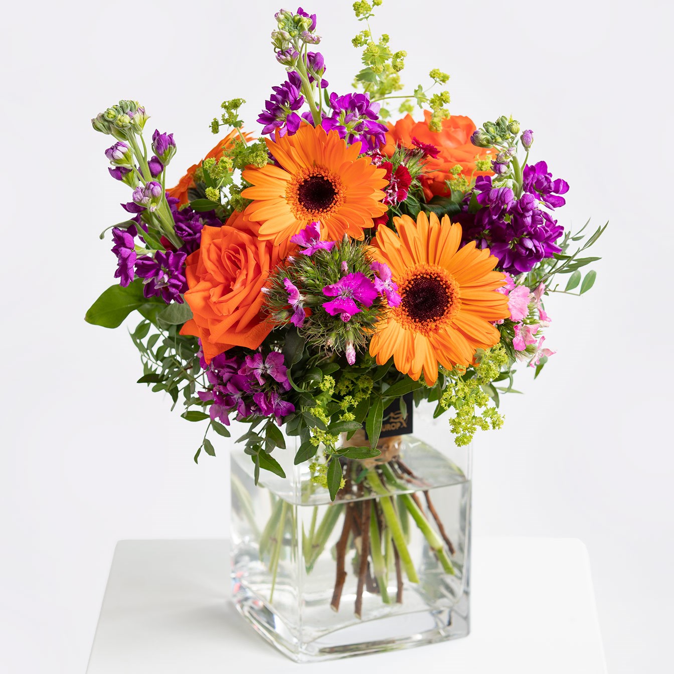 product image for Summer Greeting