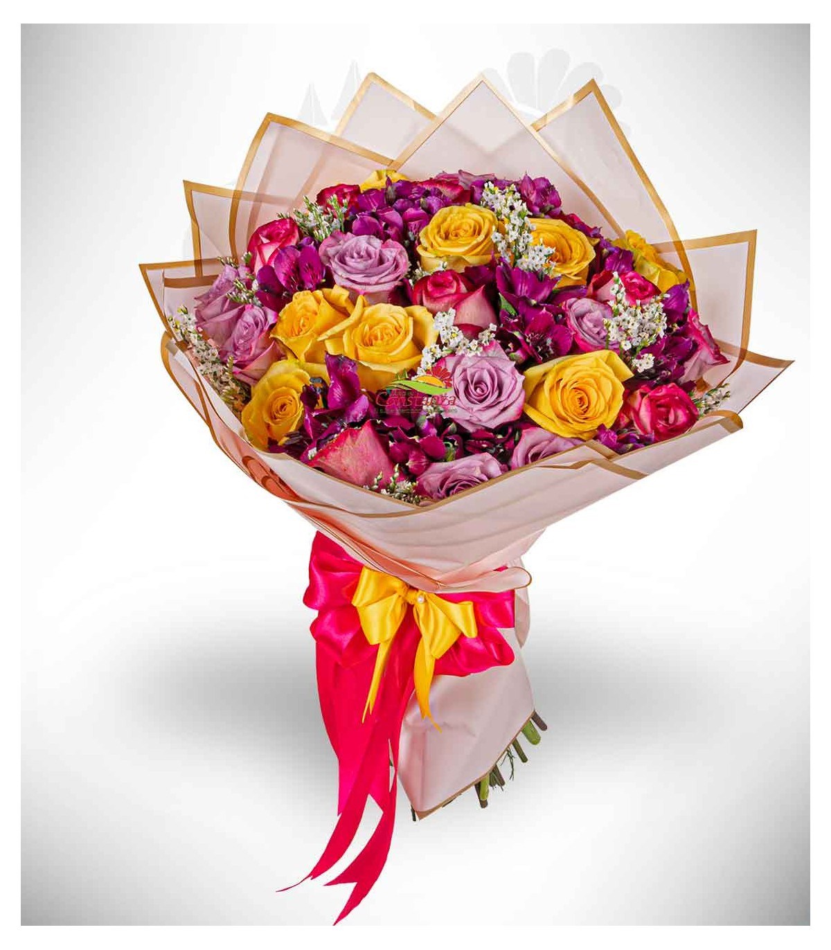 product image for COLOR BURST