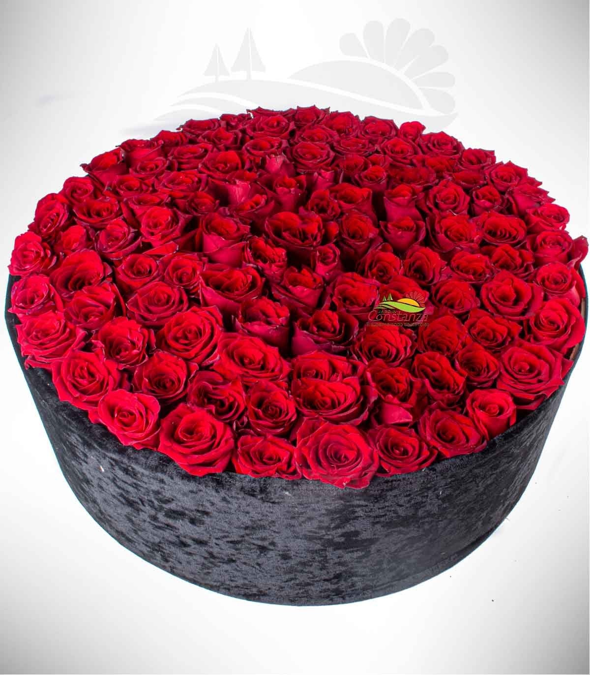 product image for MEGARA