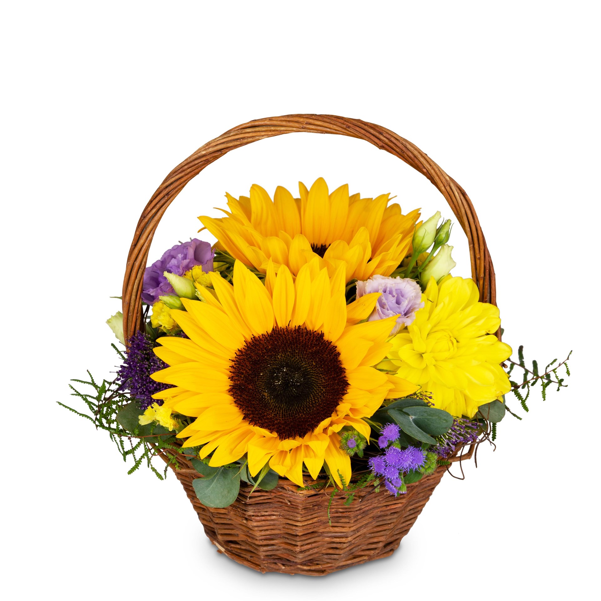 product image for Power of Summer