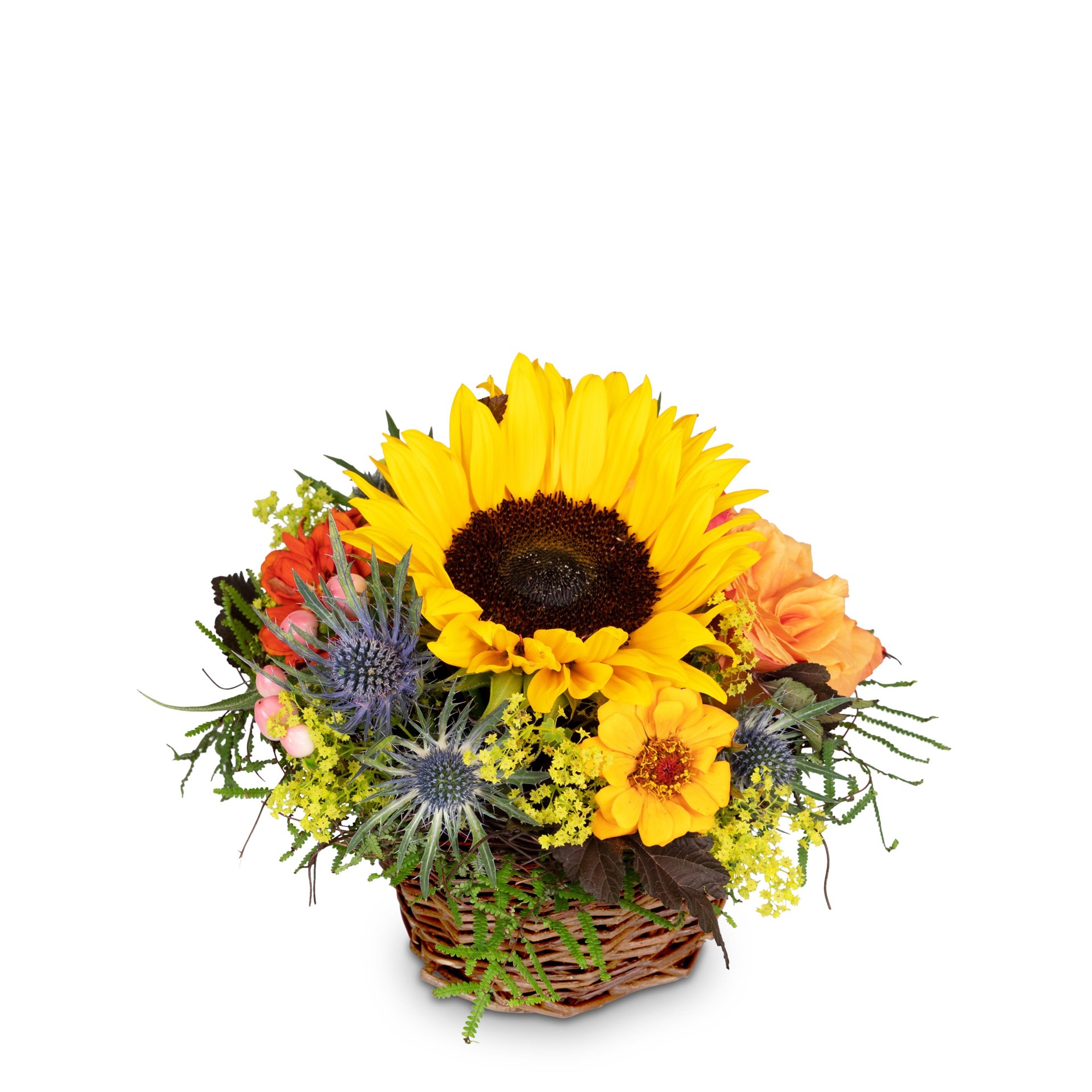 product image for Sunny Kiss