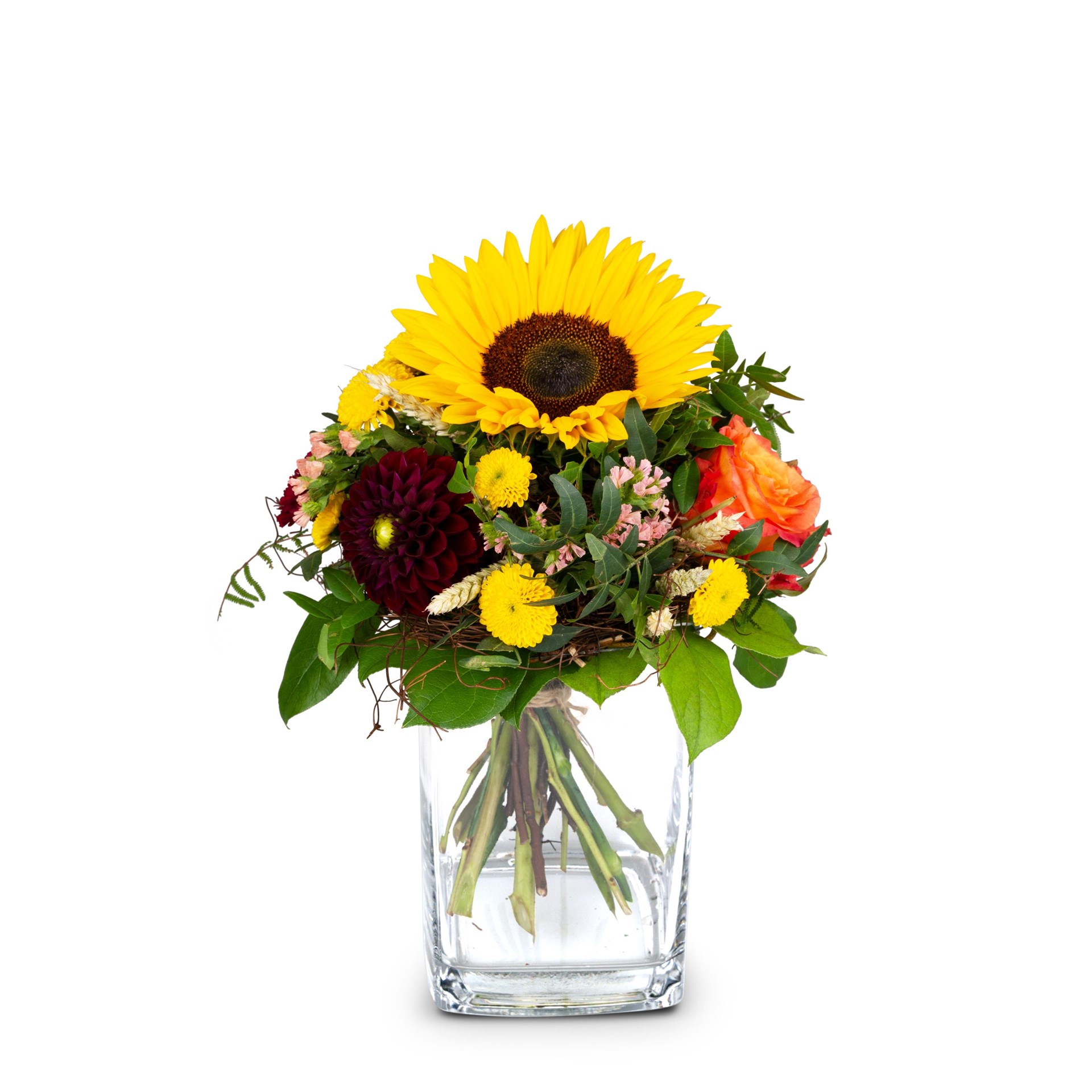 product image for Top of Summer
