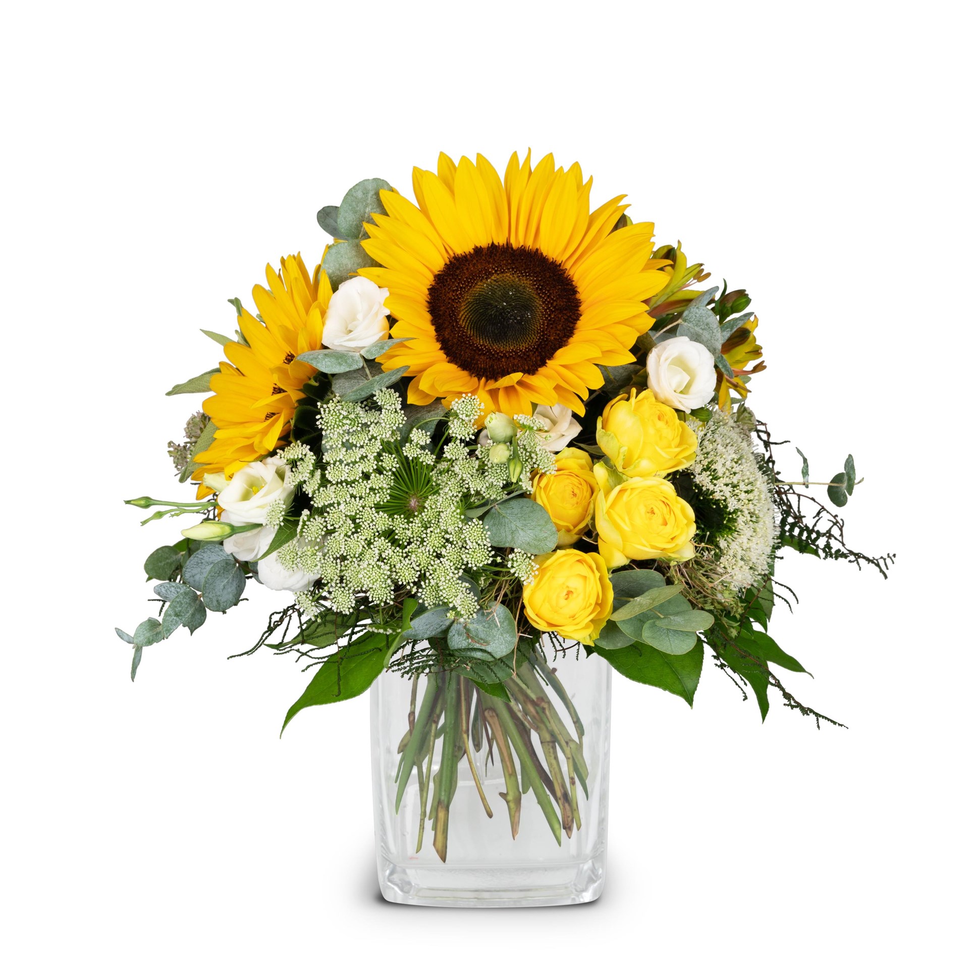 product image for Summerdream