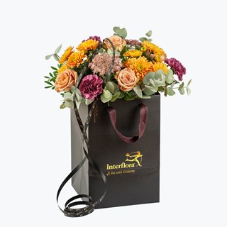 Autumn Warm small 240401
