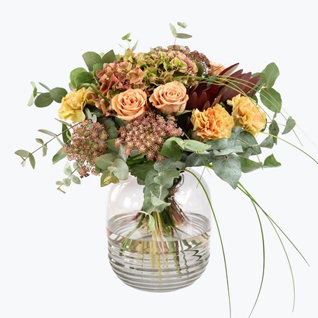 Autumn Hydrangea 240419