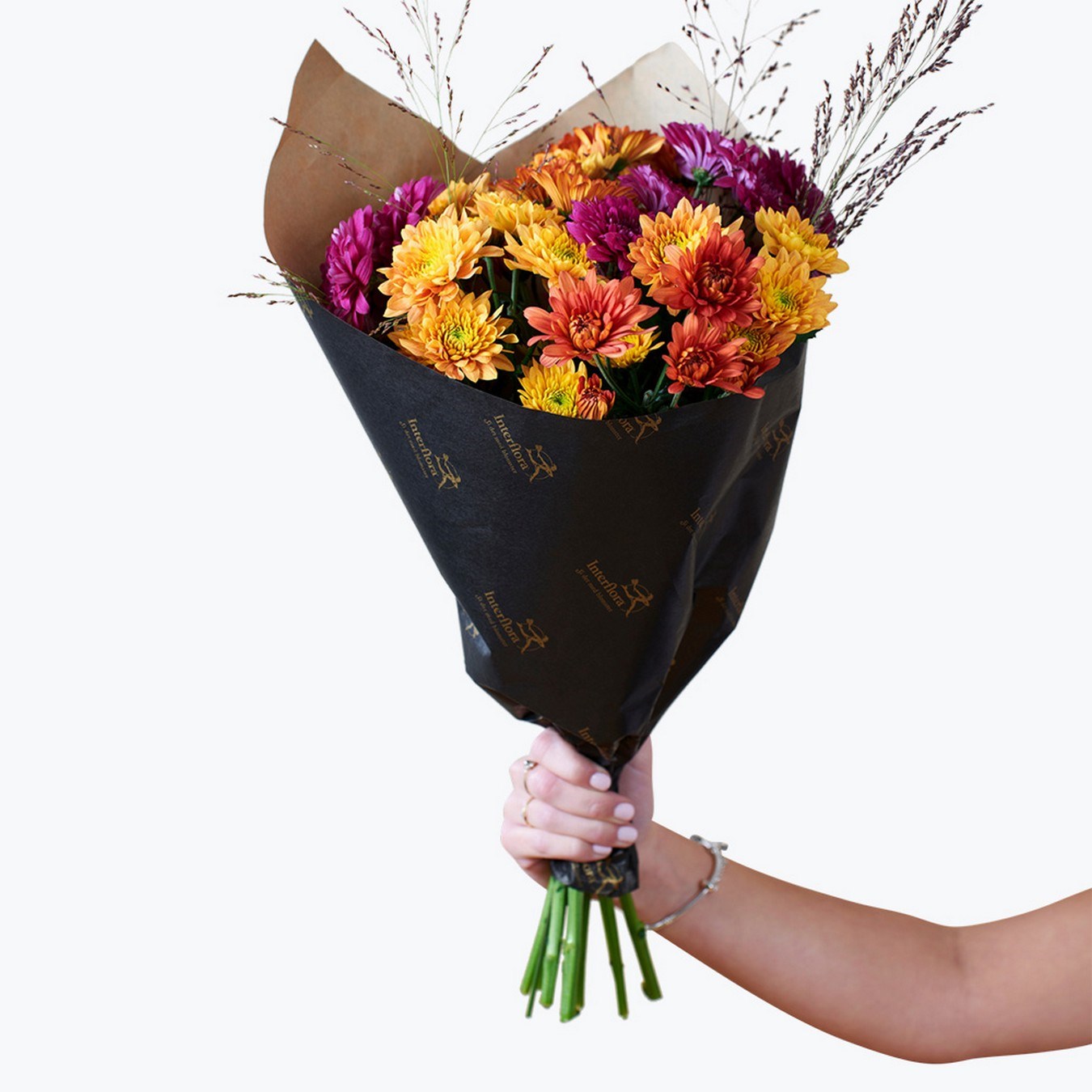product image for Autumn Chrysanthemum 240414