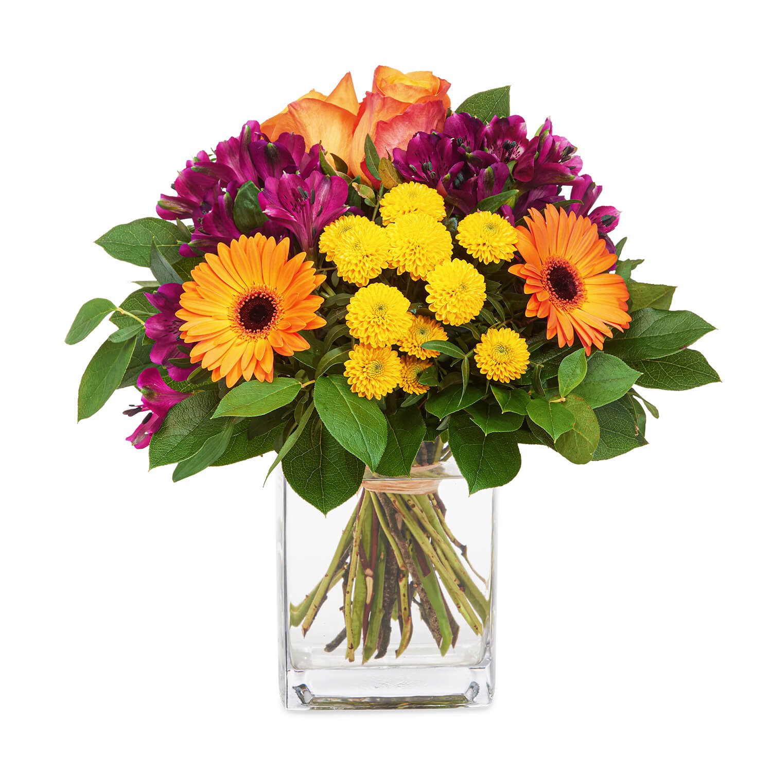 product image for Messengers of optimism