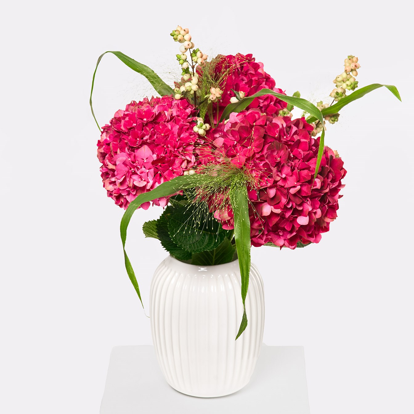 product image for Hydrangea Delight
