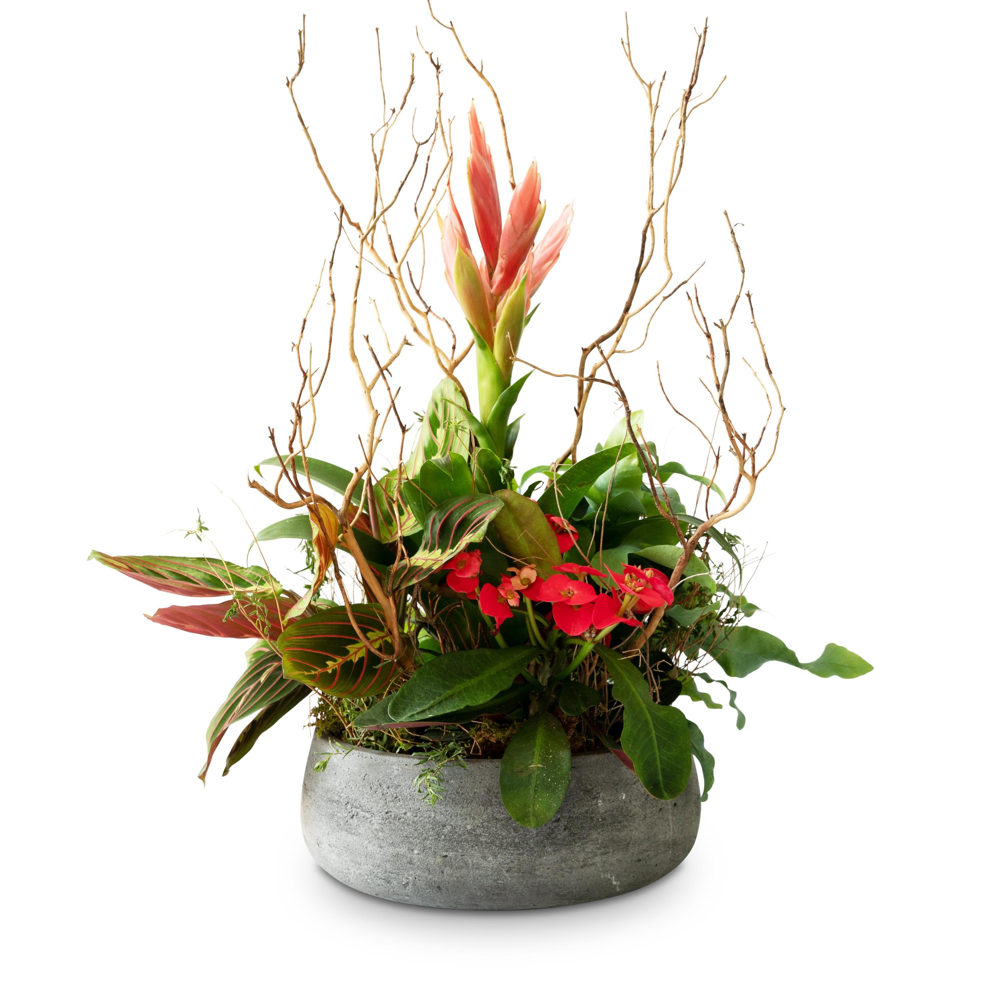 Indoor plant pot Harmony of colors