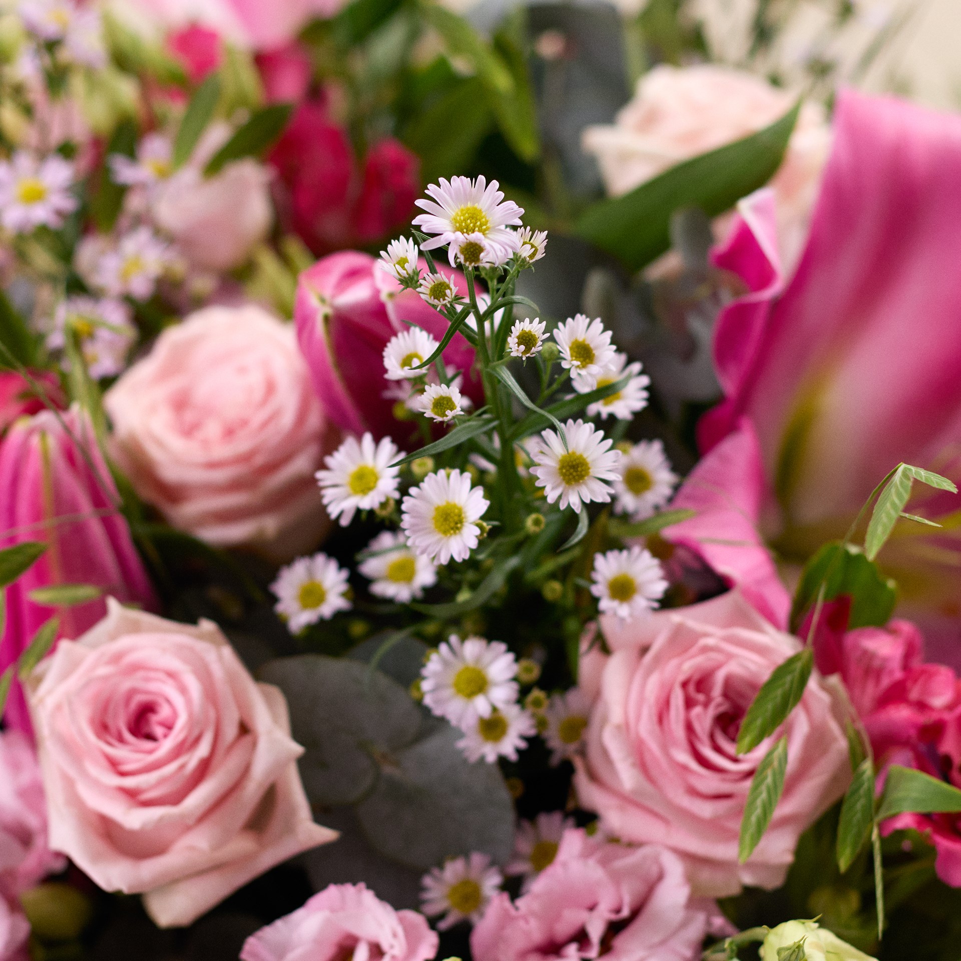 Floral Symphony