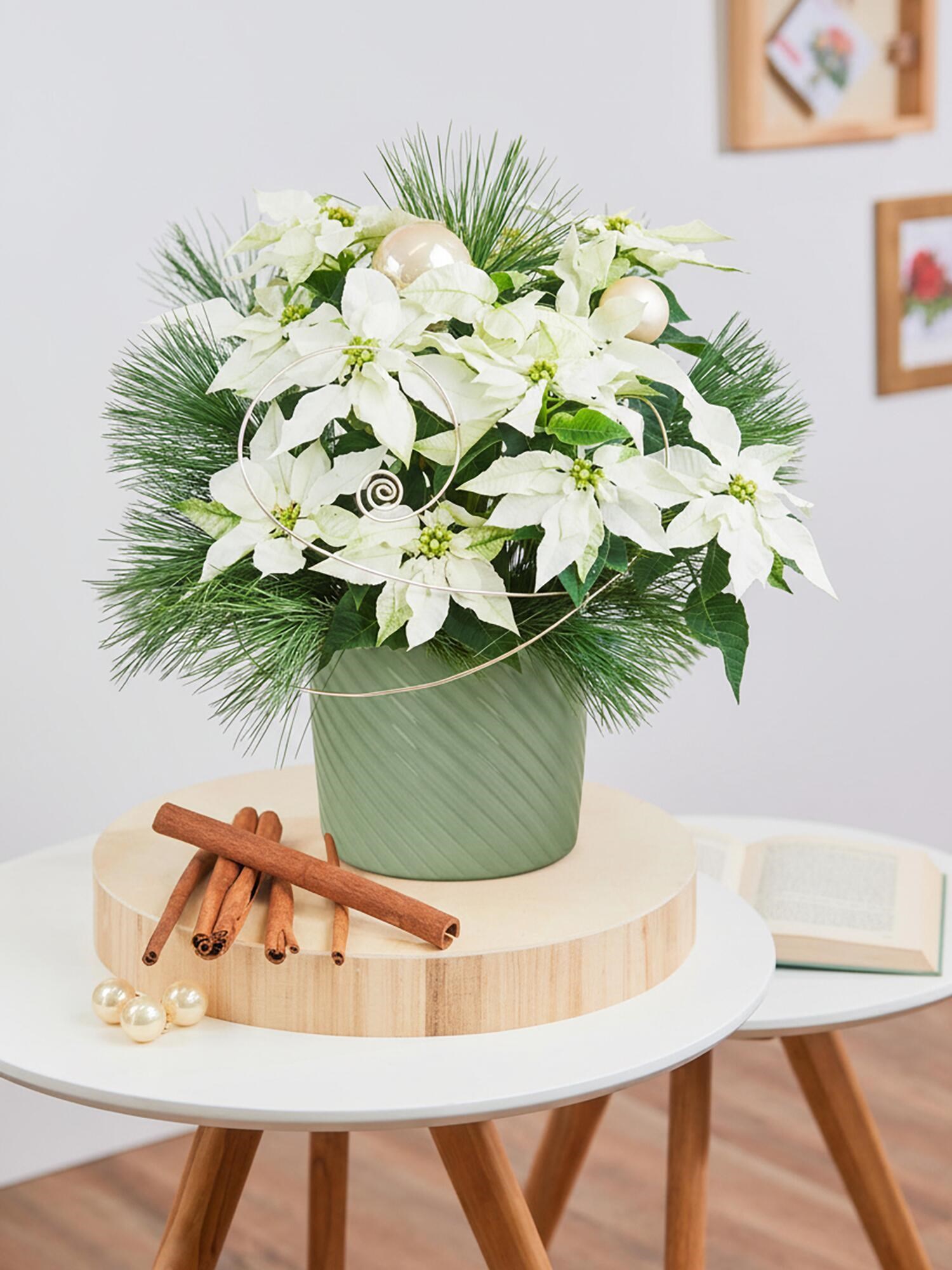 product image for Snow Whisper