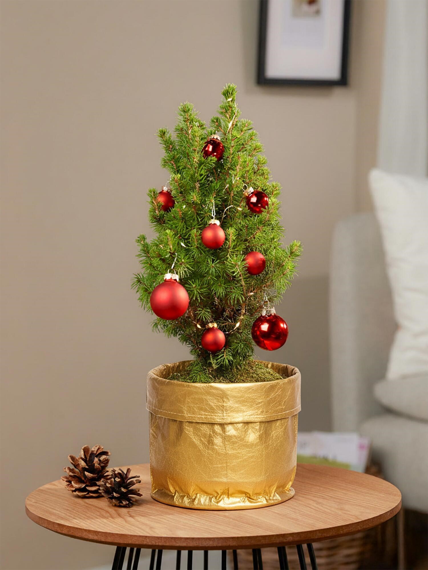 product image for Magical Christmas Greetings