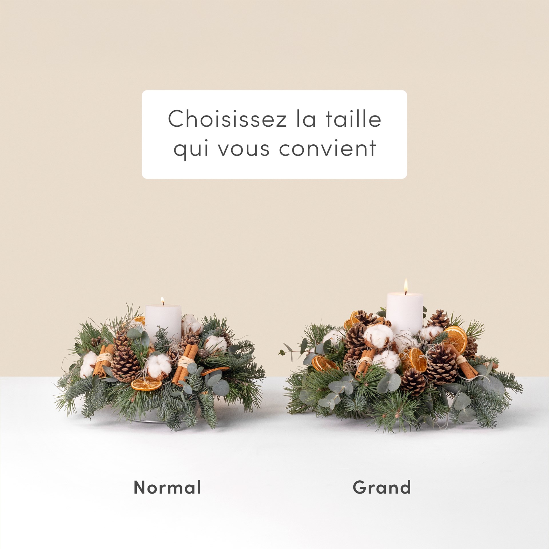 Sous le sapin - Under the christmas tree