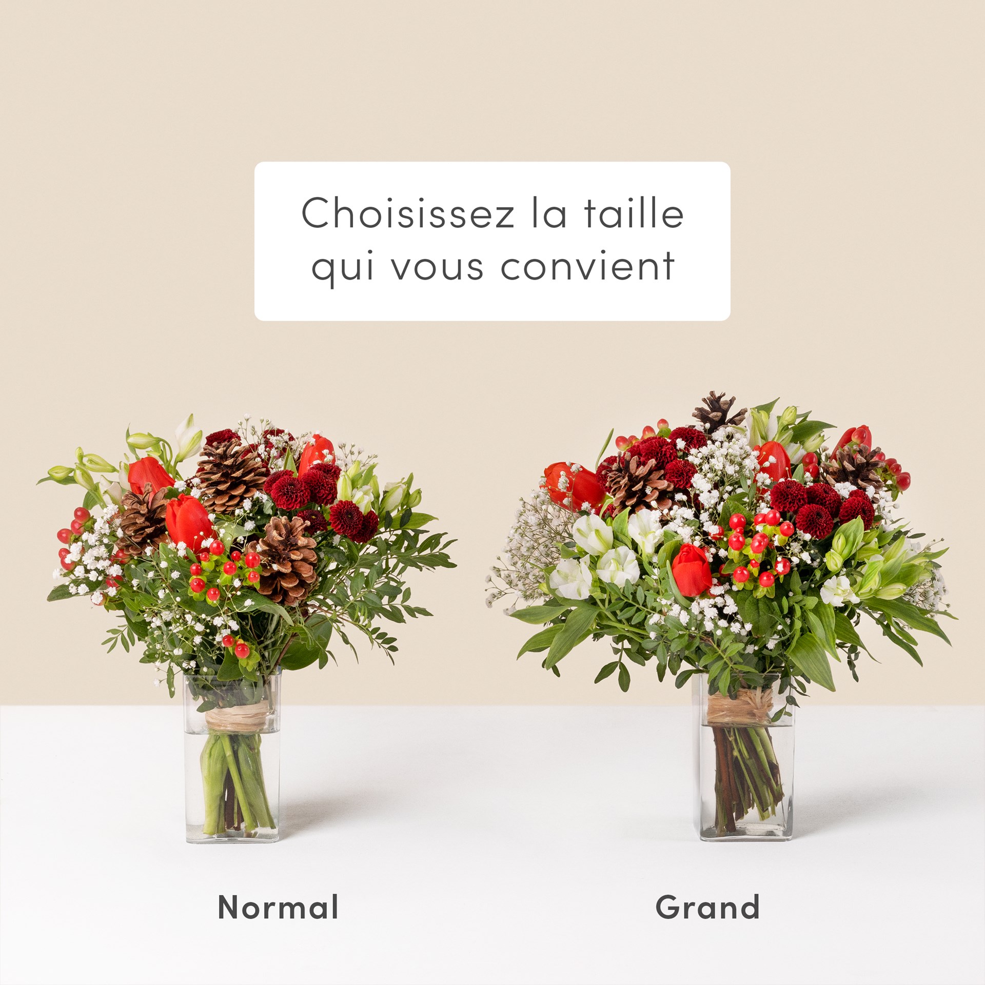 Magie de Noel et son vase offert - Free vase