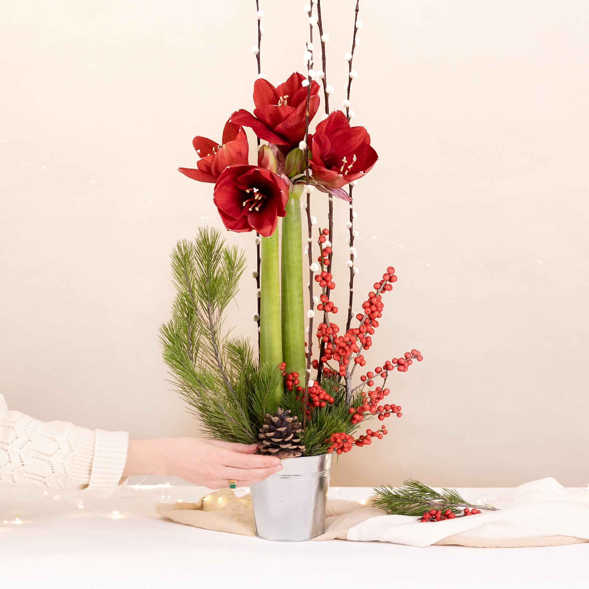 product image for Fete enchantee - Enchanted party