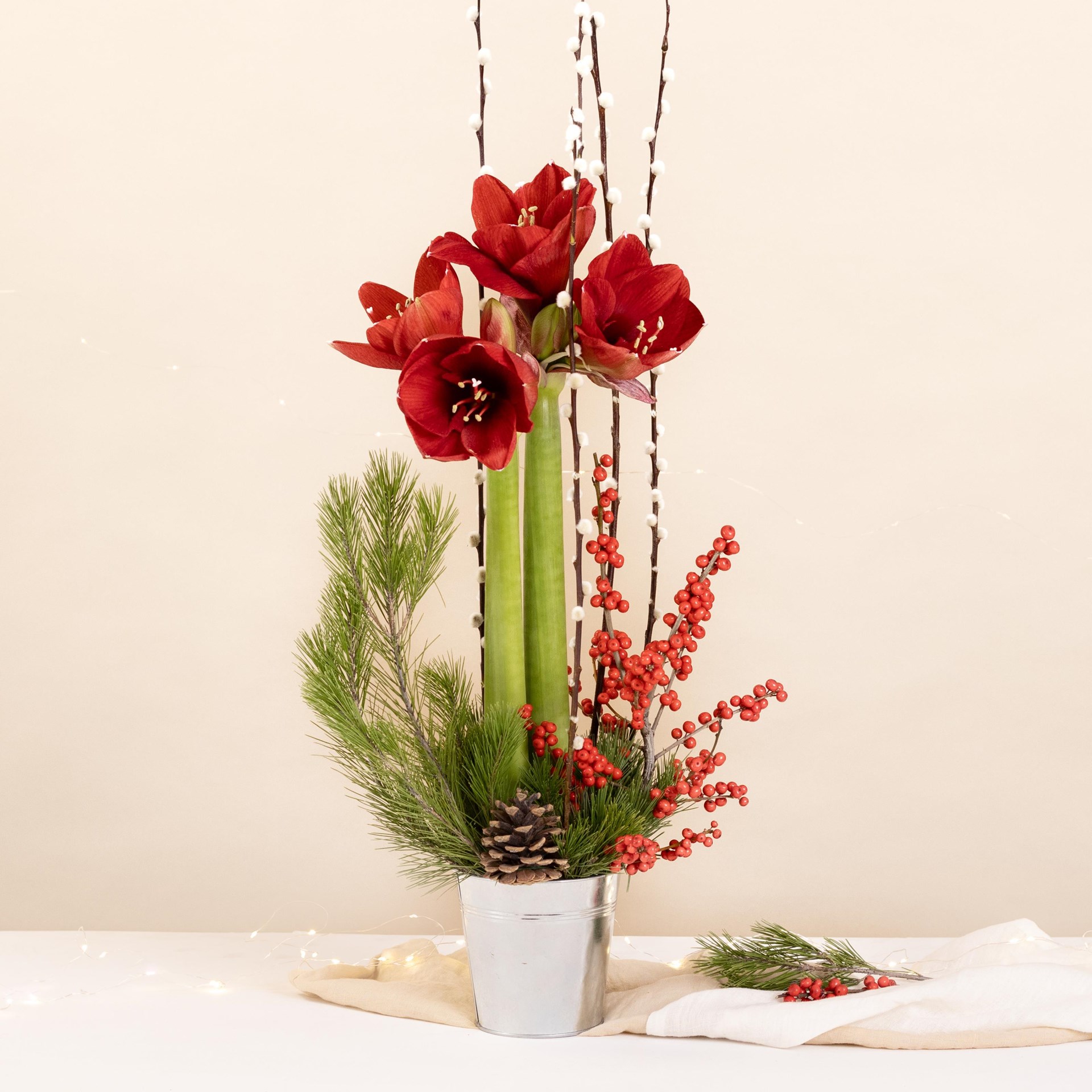 Fete enchantee - Enchanted party