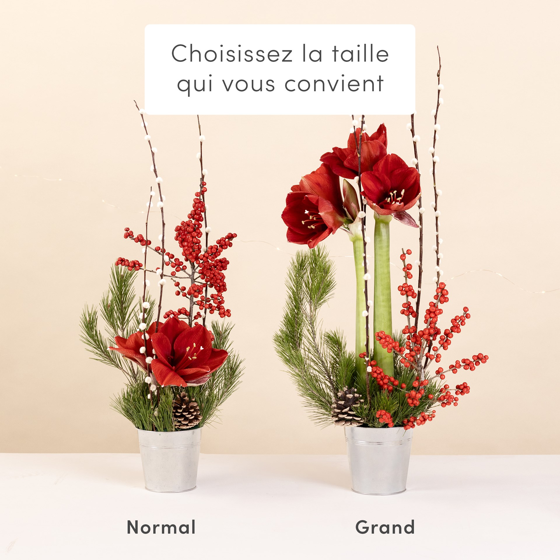 Fete enchantee - Enchanted party