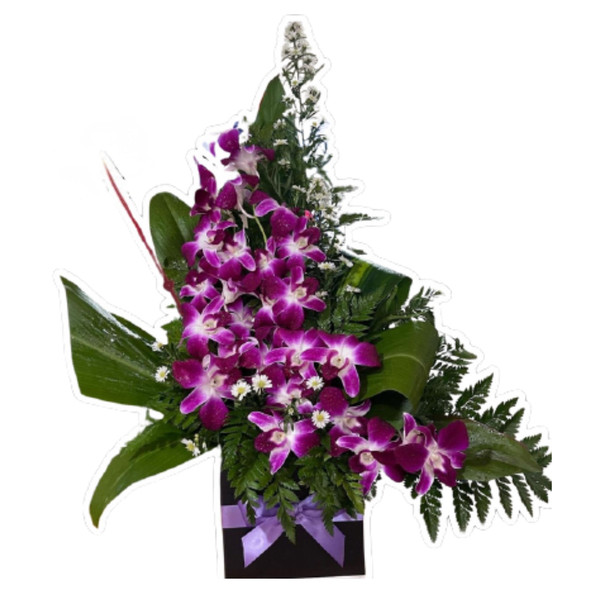 product image for LILAM