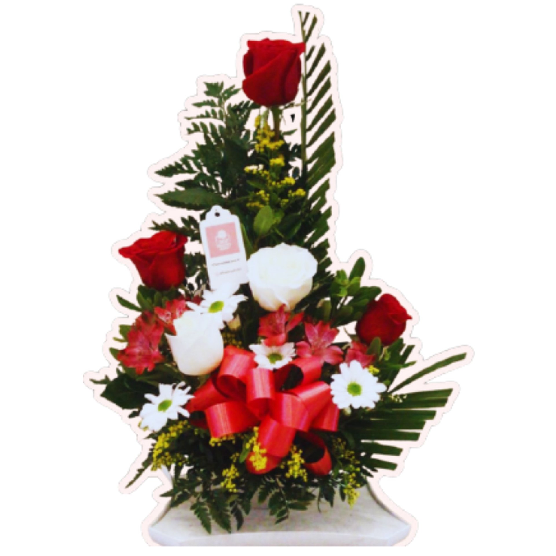 product image for ROSA1