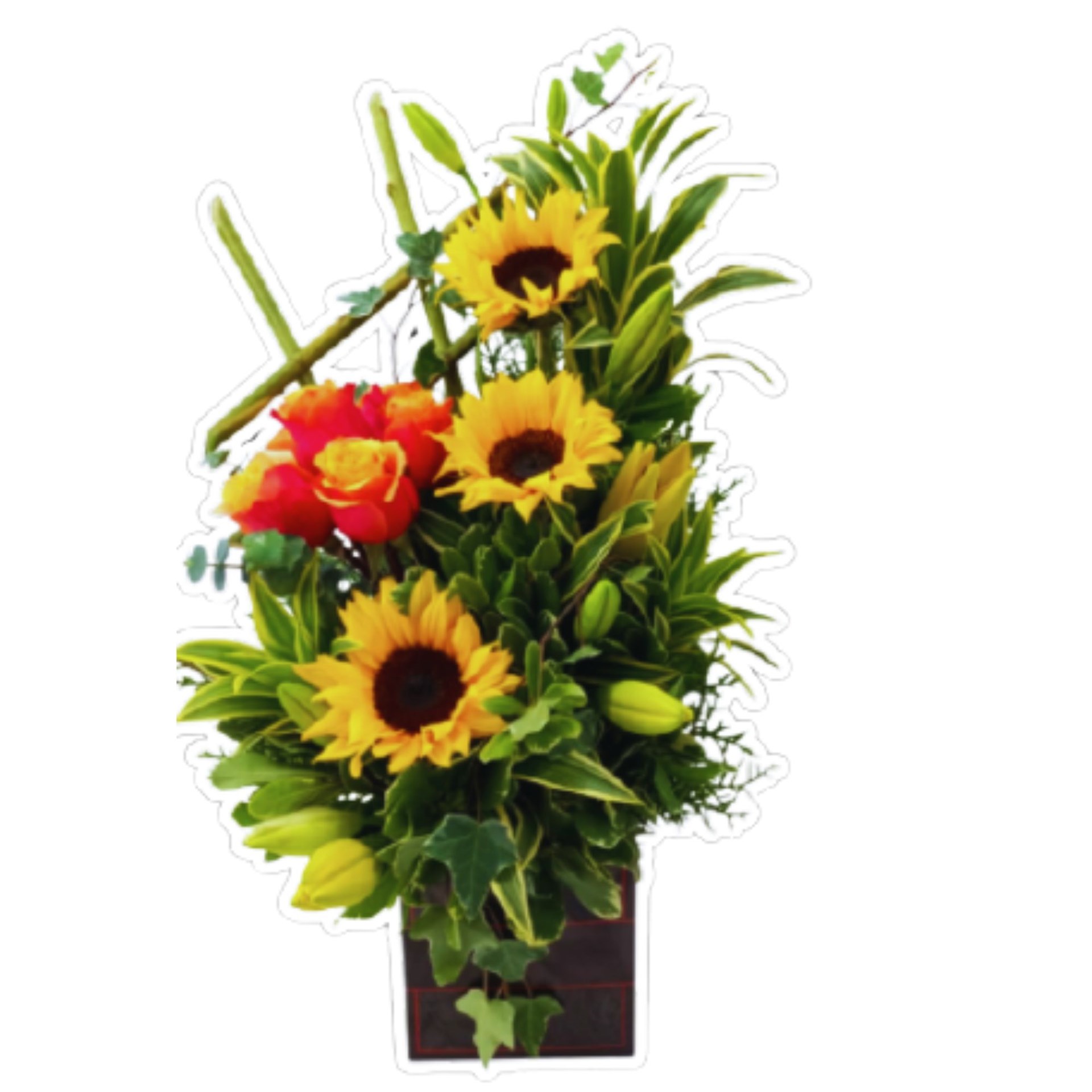 product image for SUN71-0