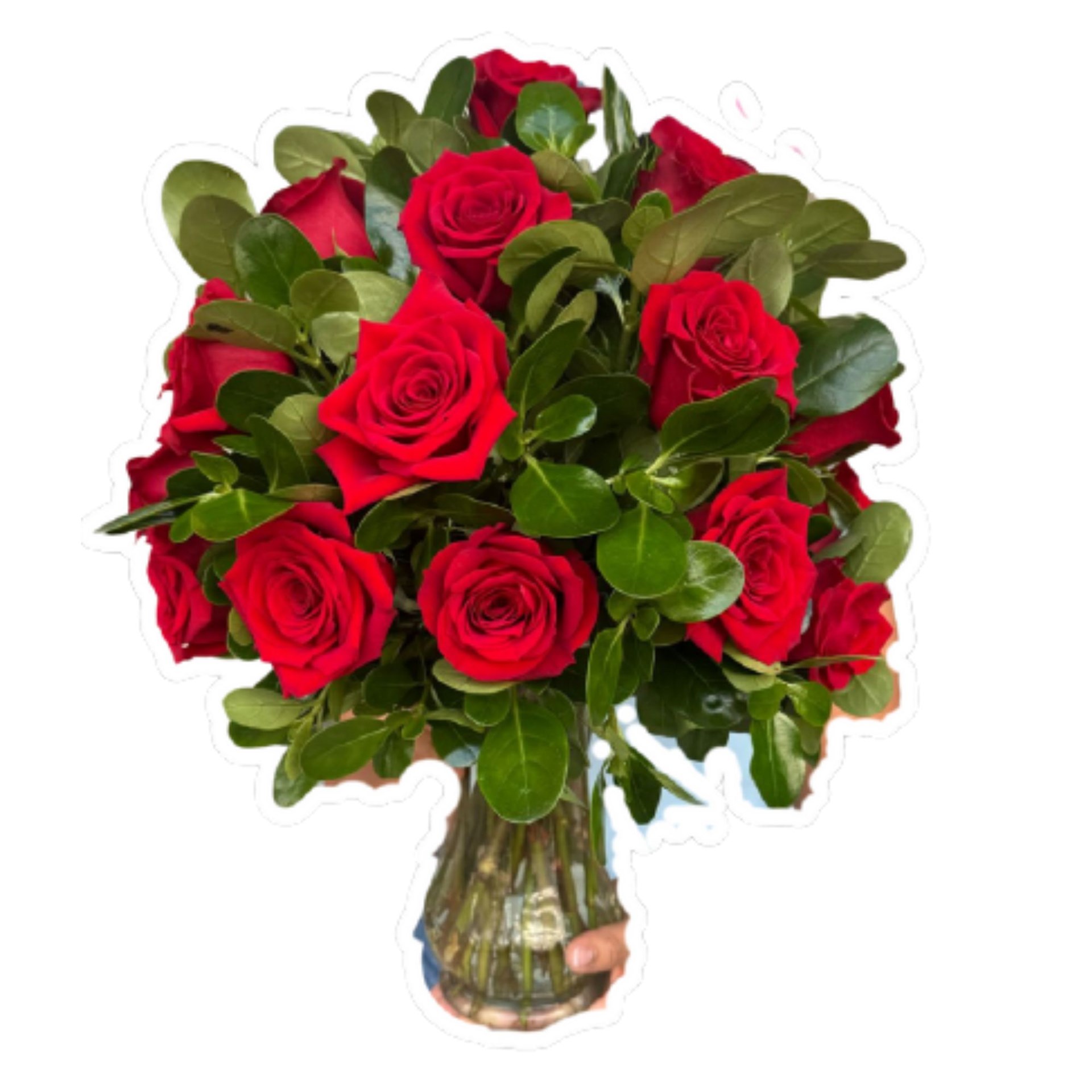 product image for JARRBRI