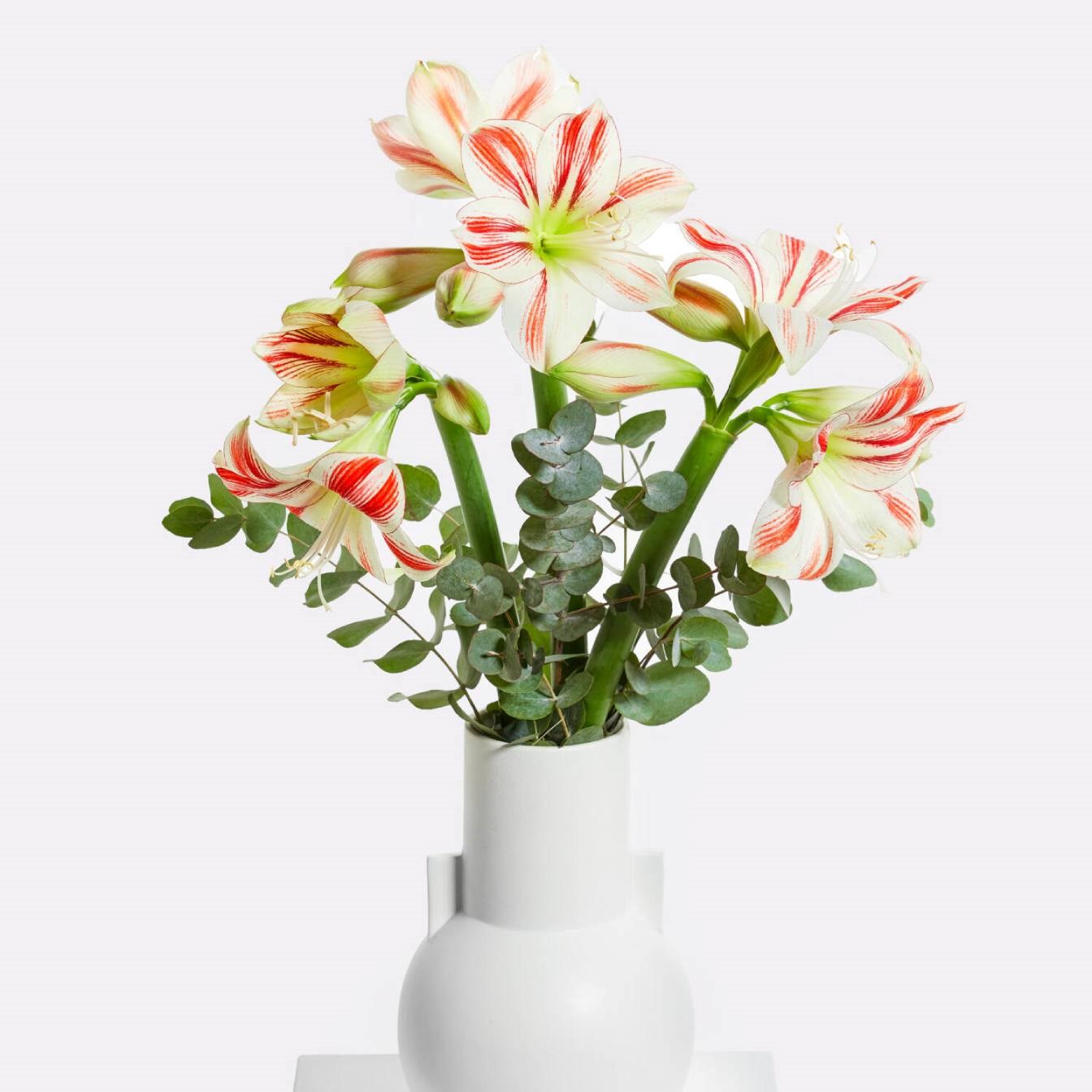 product image for A6221