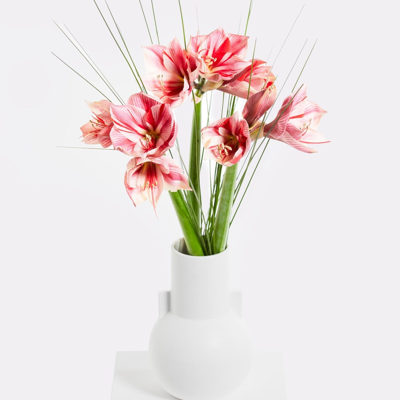 product image for Winter Delights