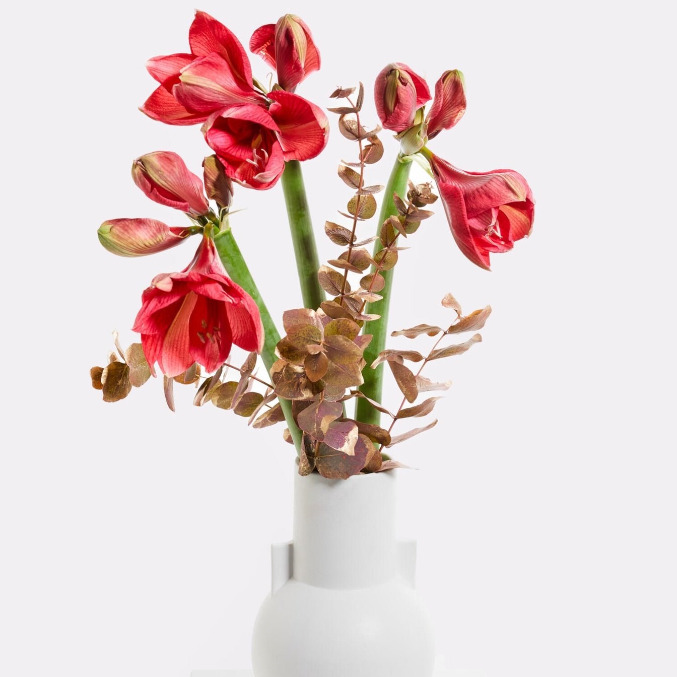 product image for Winter Fairy Tale