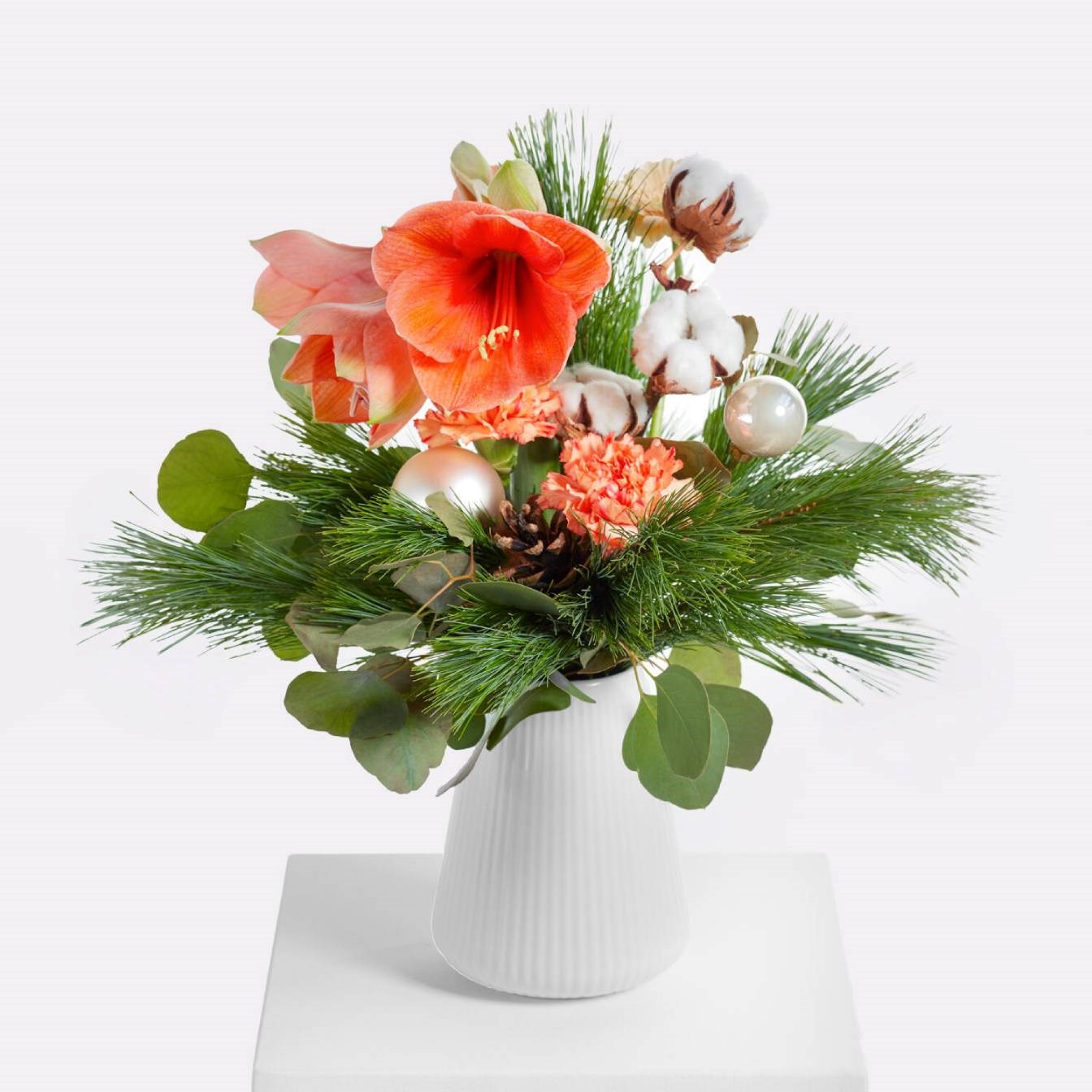 product image for Apricot Dream