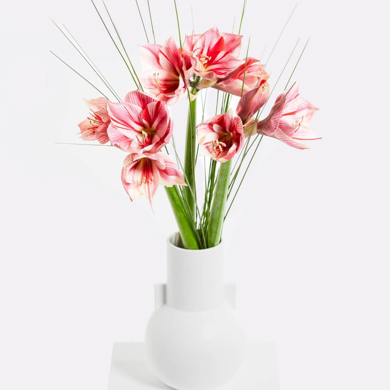 product image for Winter Delights