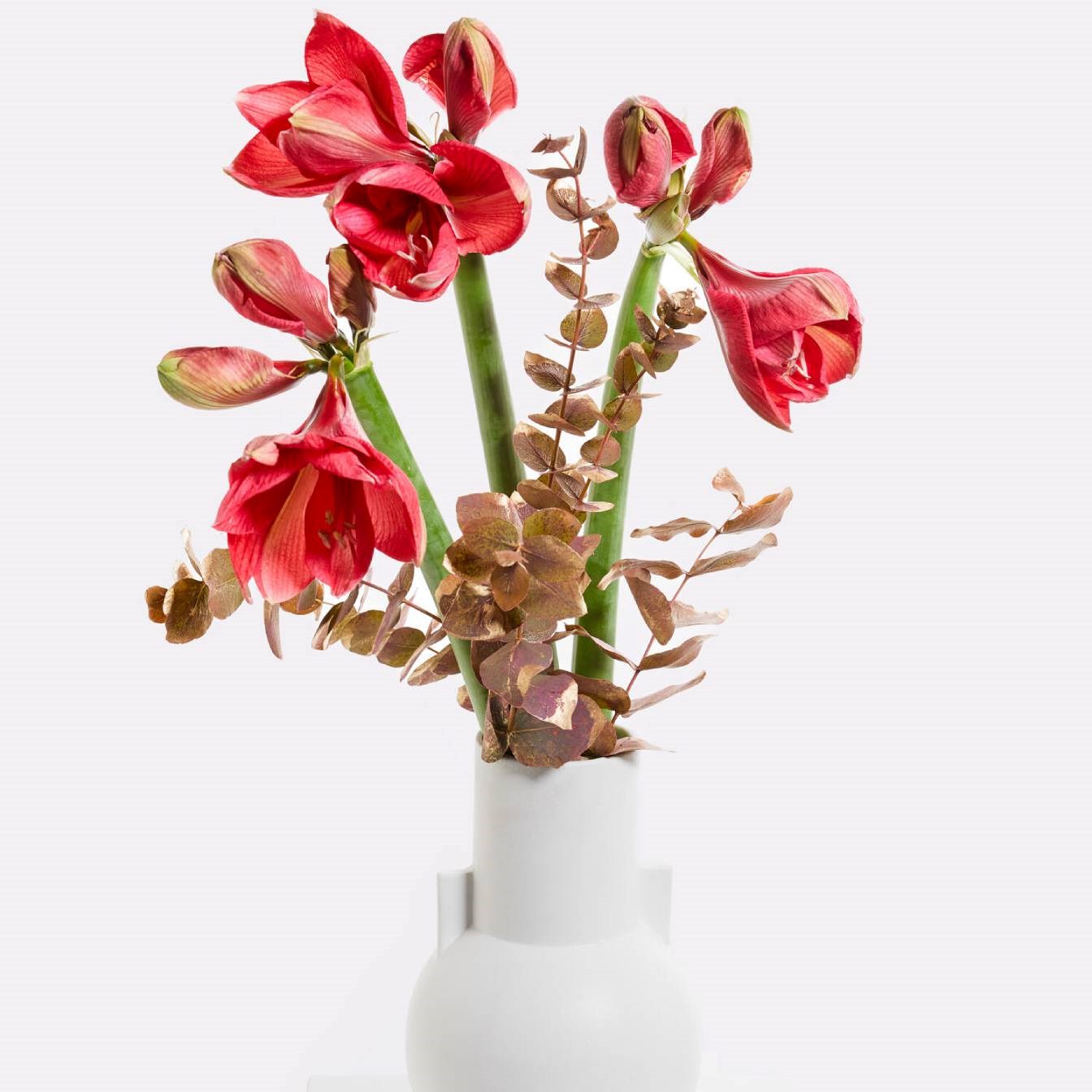 product image for Winter Fairy Tale