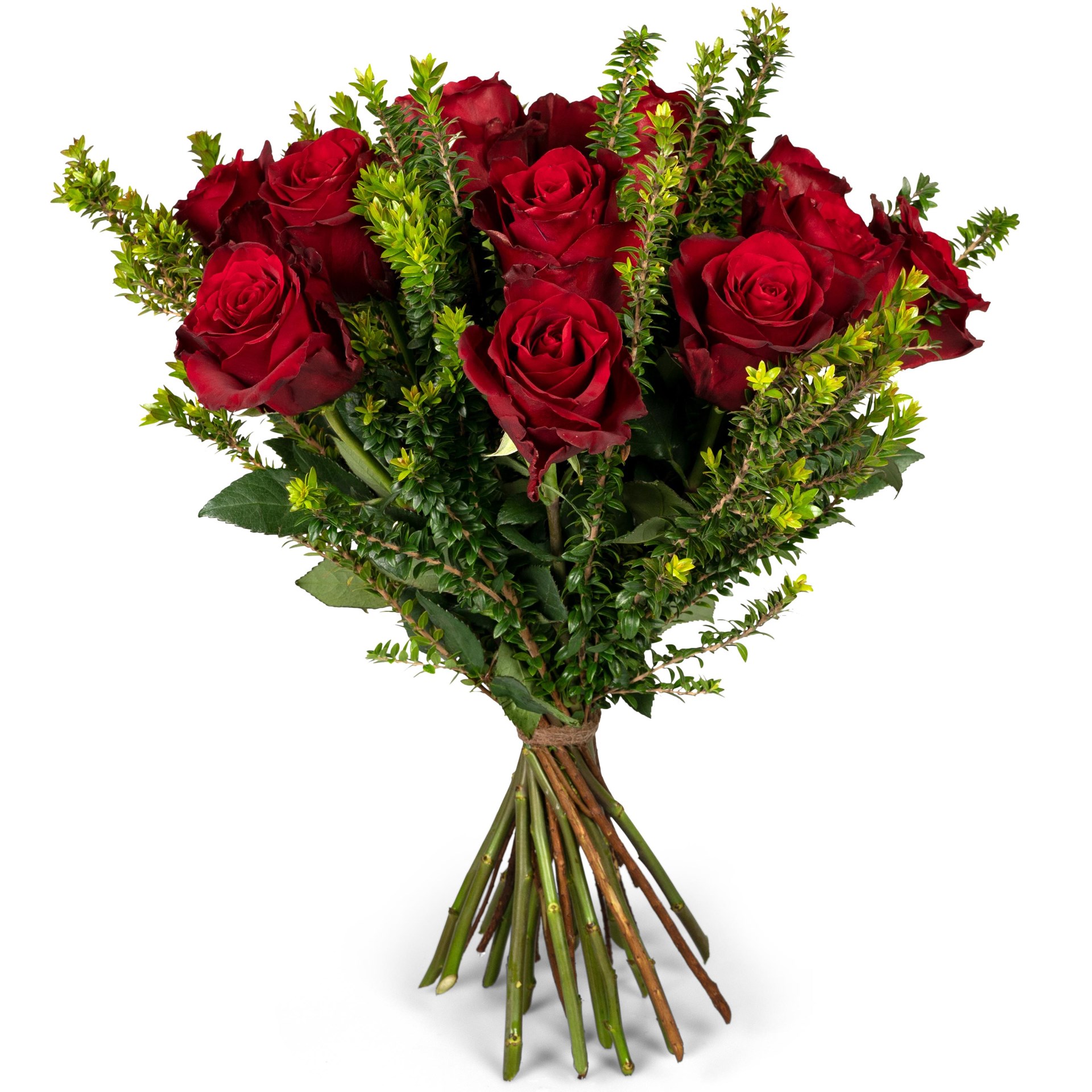 product image for Forever Remembered