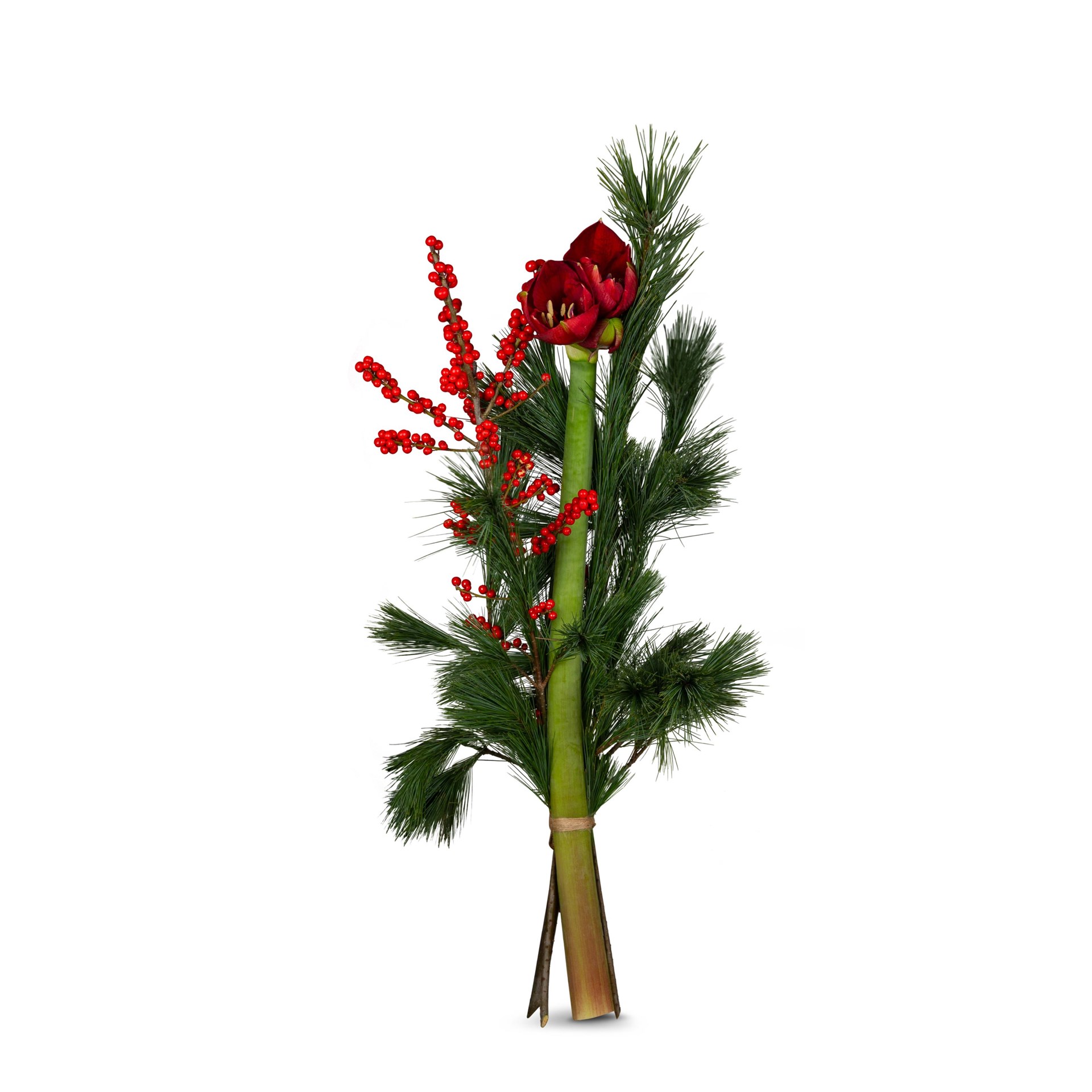 product image for Amaryllis Bouquet Winter elegance