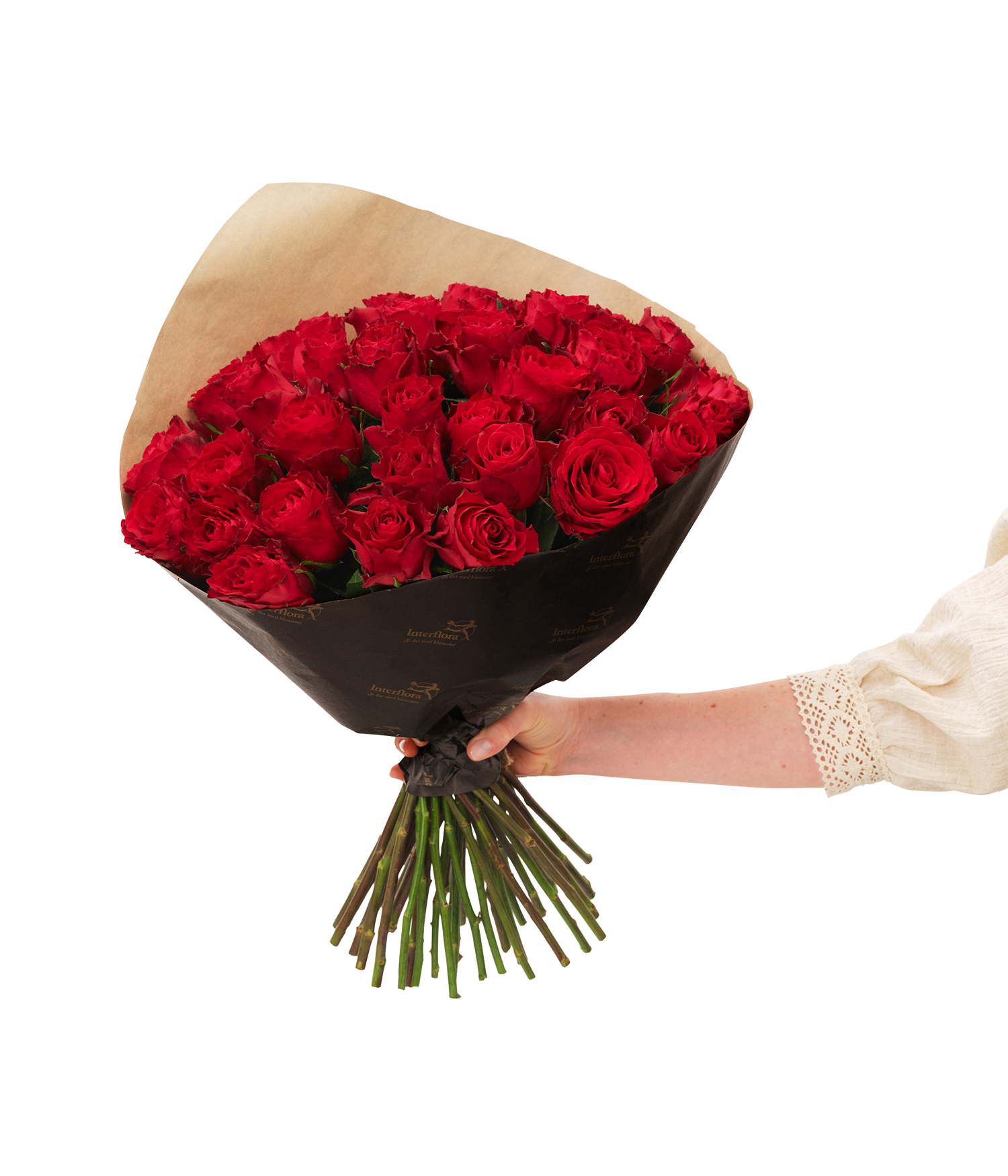 Red roses 40 242685