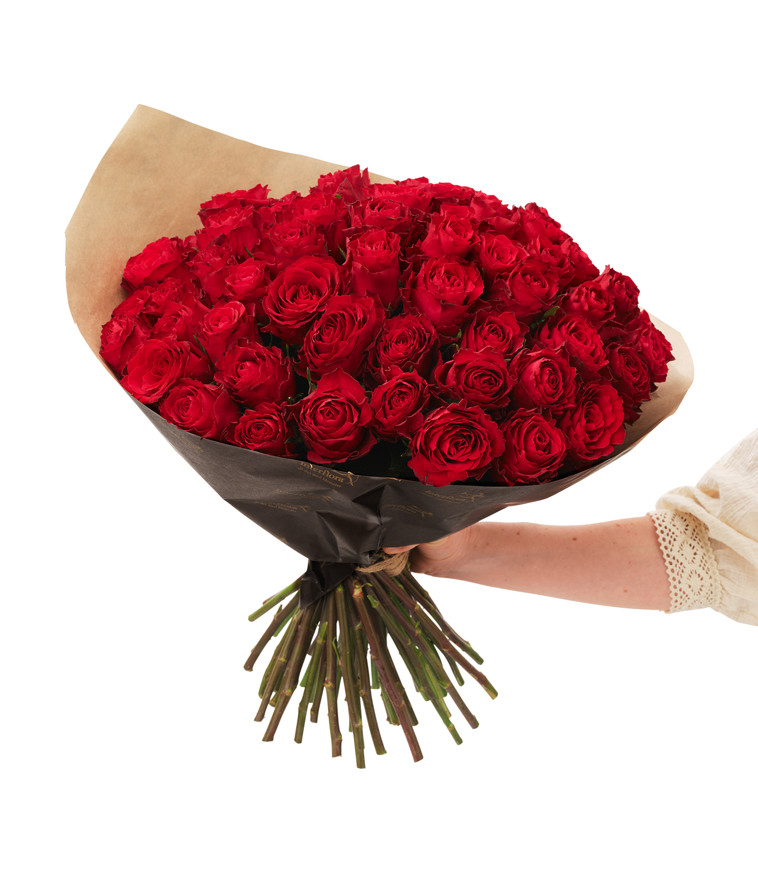 Red roses 60 242687
