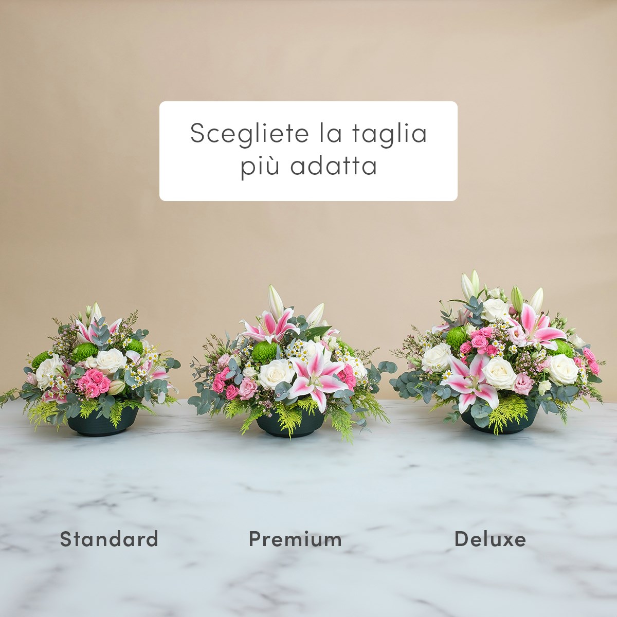 Floral Embrace Composition