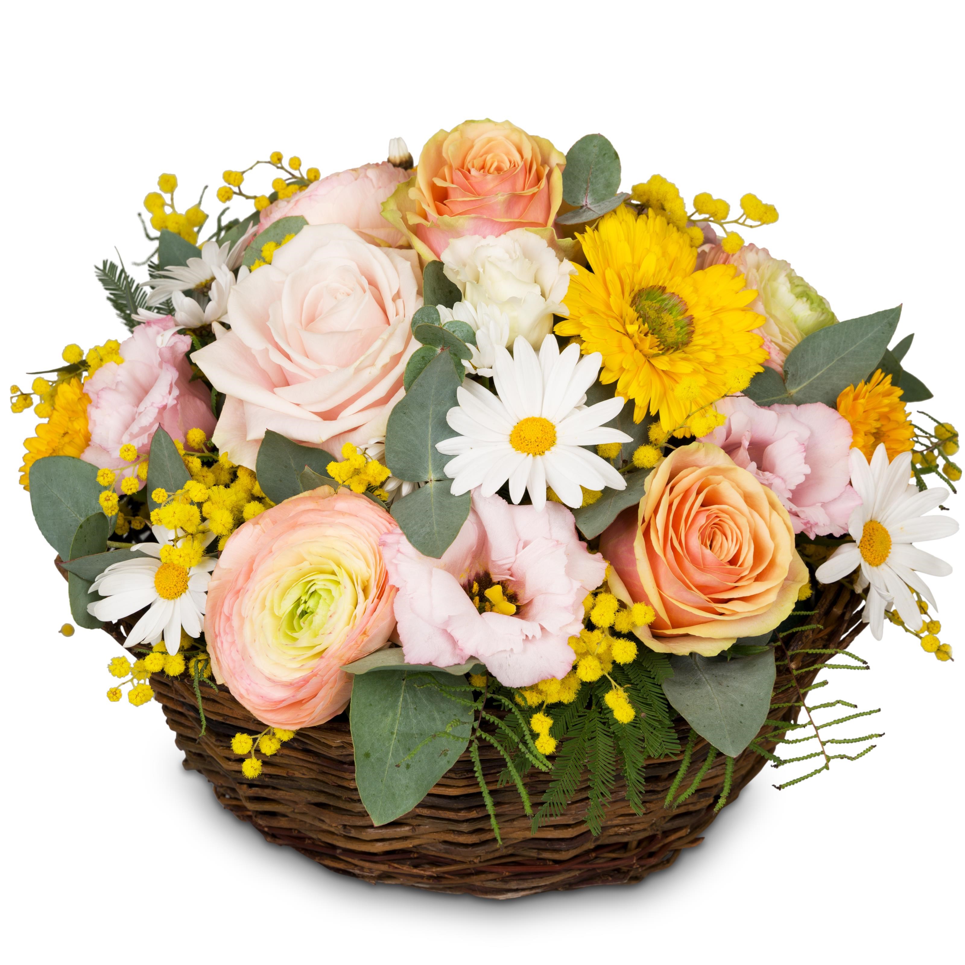 Cutflower Arrangement Cheerful Spring Meadow
