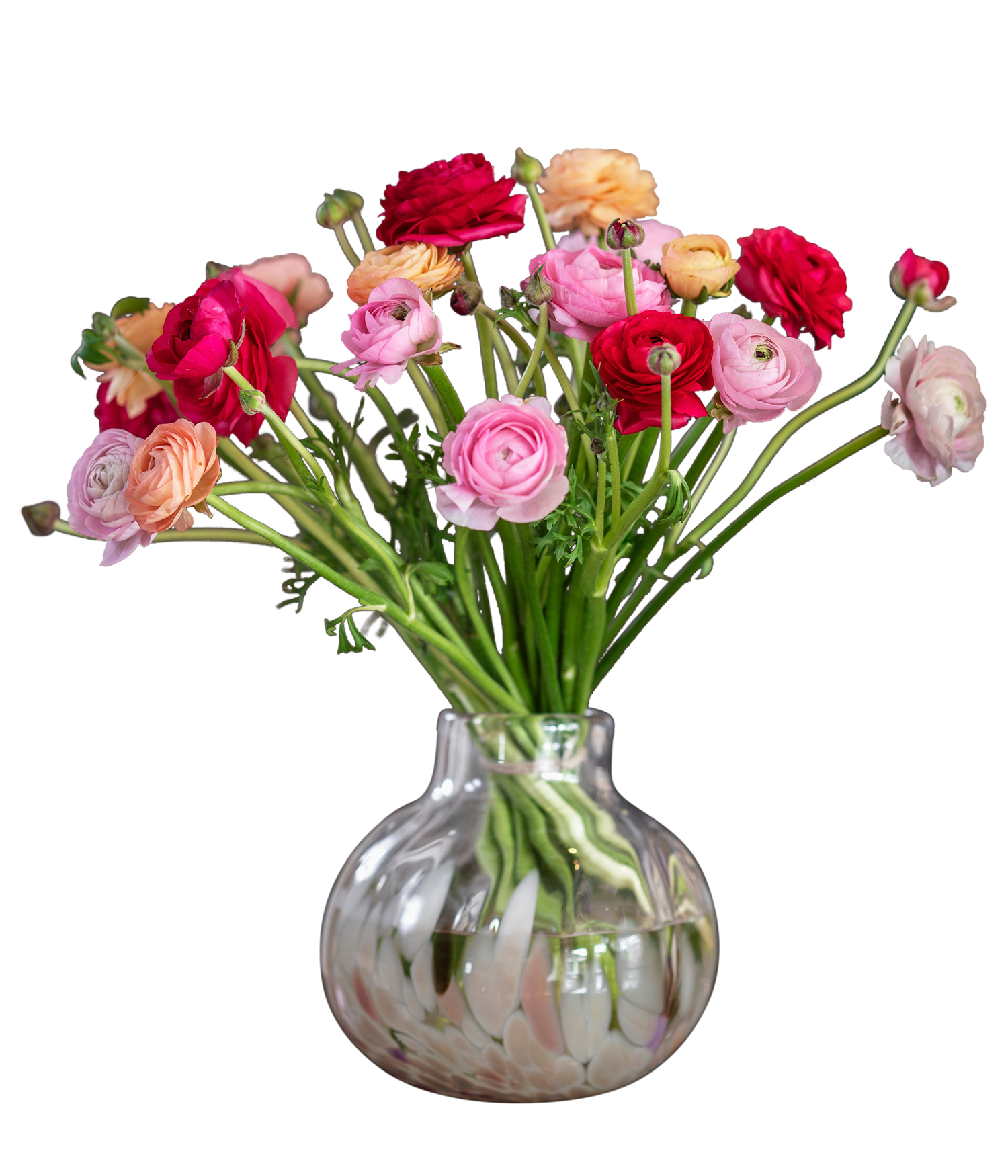 product image for Buttercups mix colors 240174