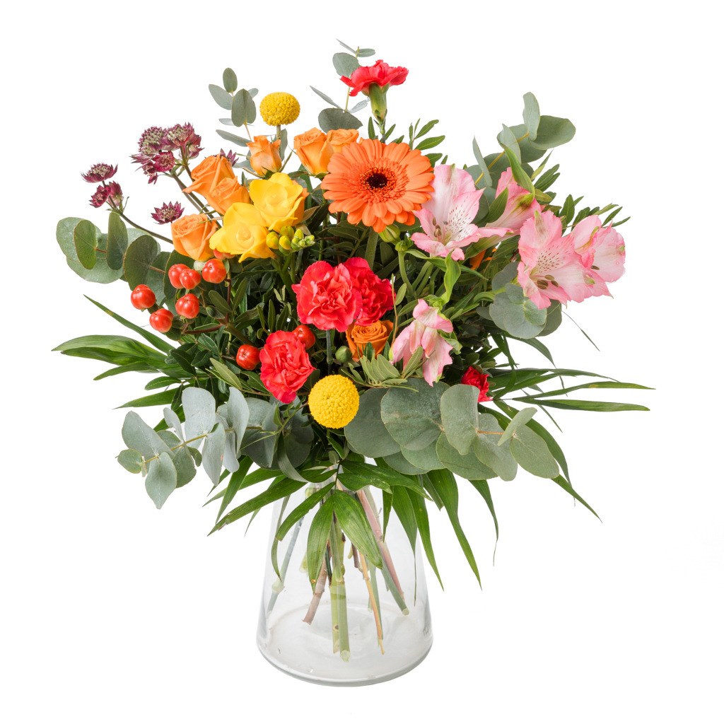 product image for Happy Surprise