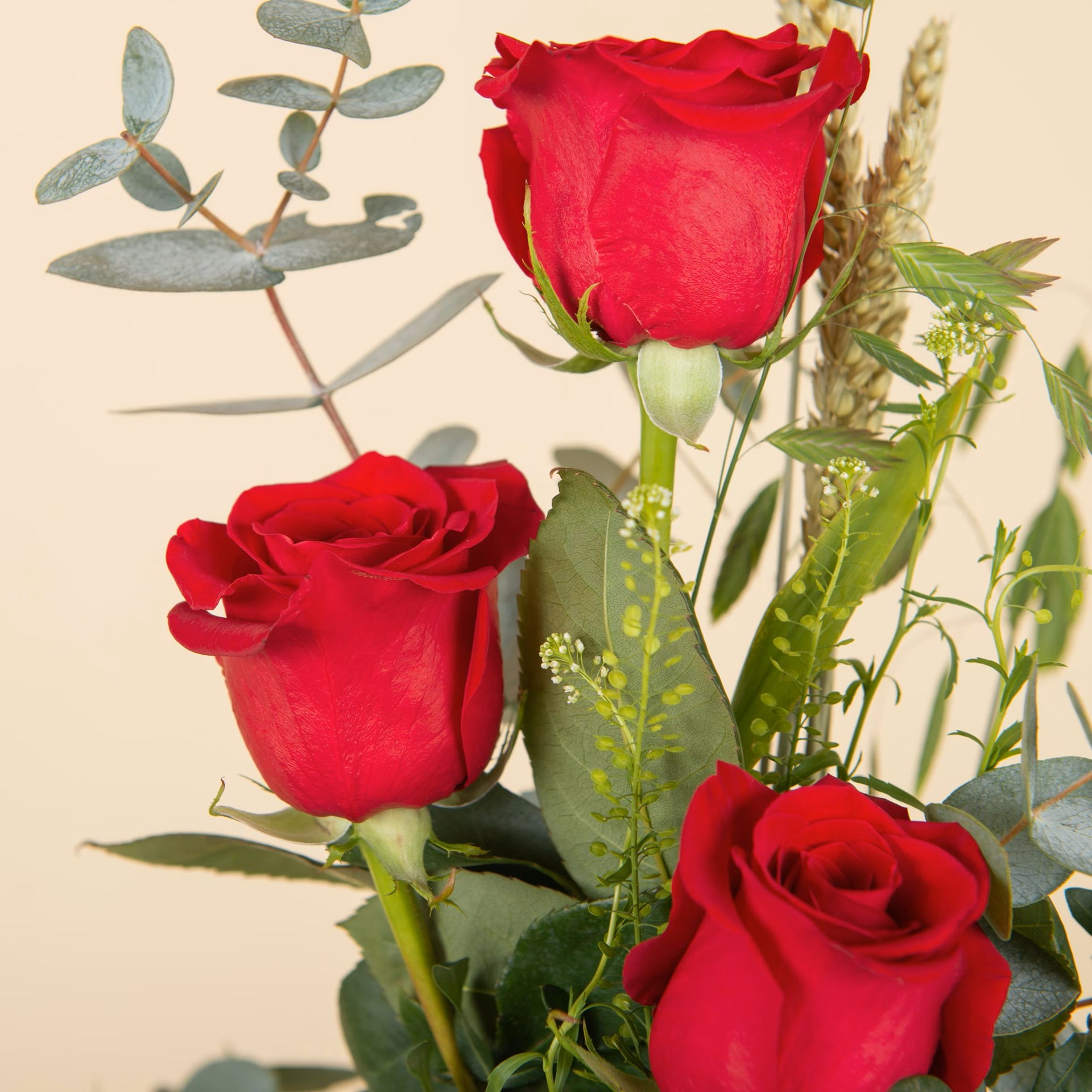 Sant Jordi Arrangement