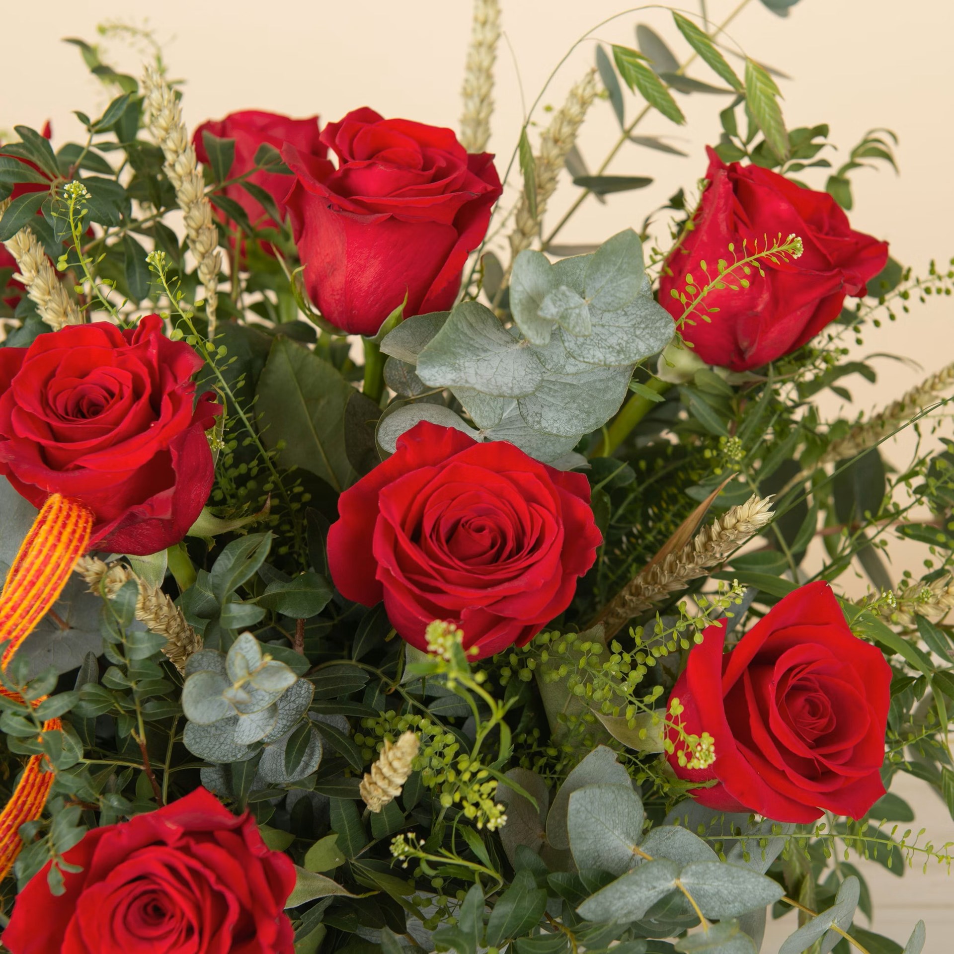 Premium Sant Jordi Basket