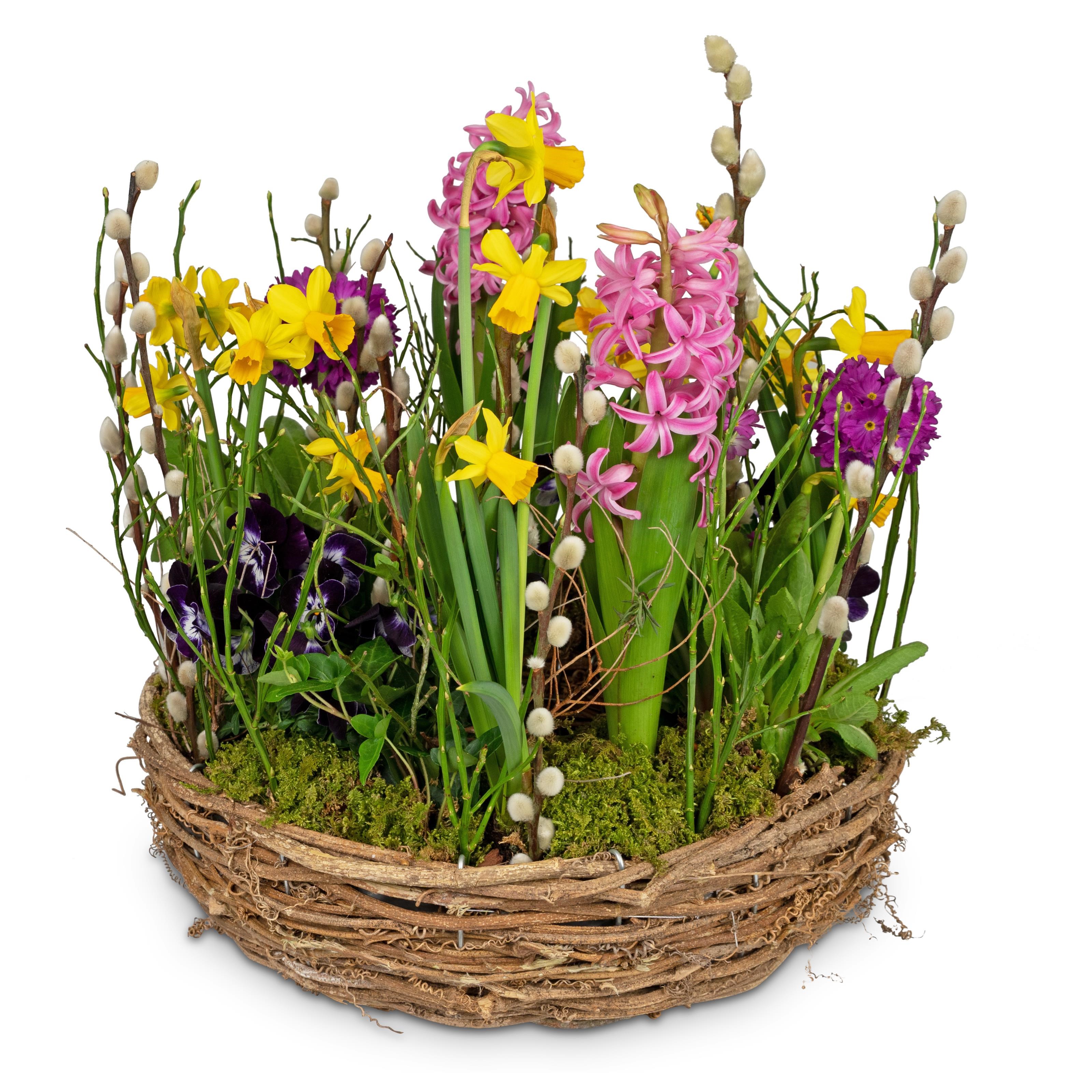 Planted Basket Colorful spring wreath