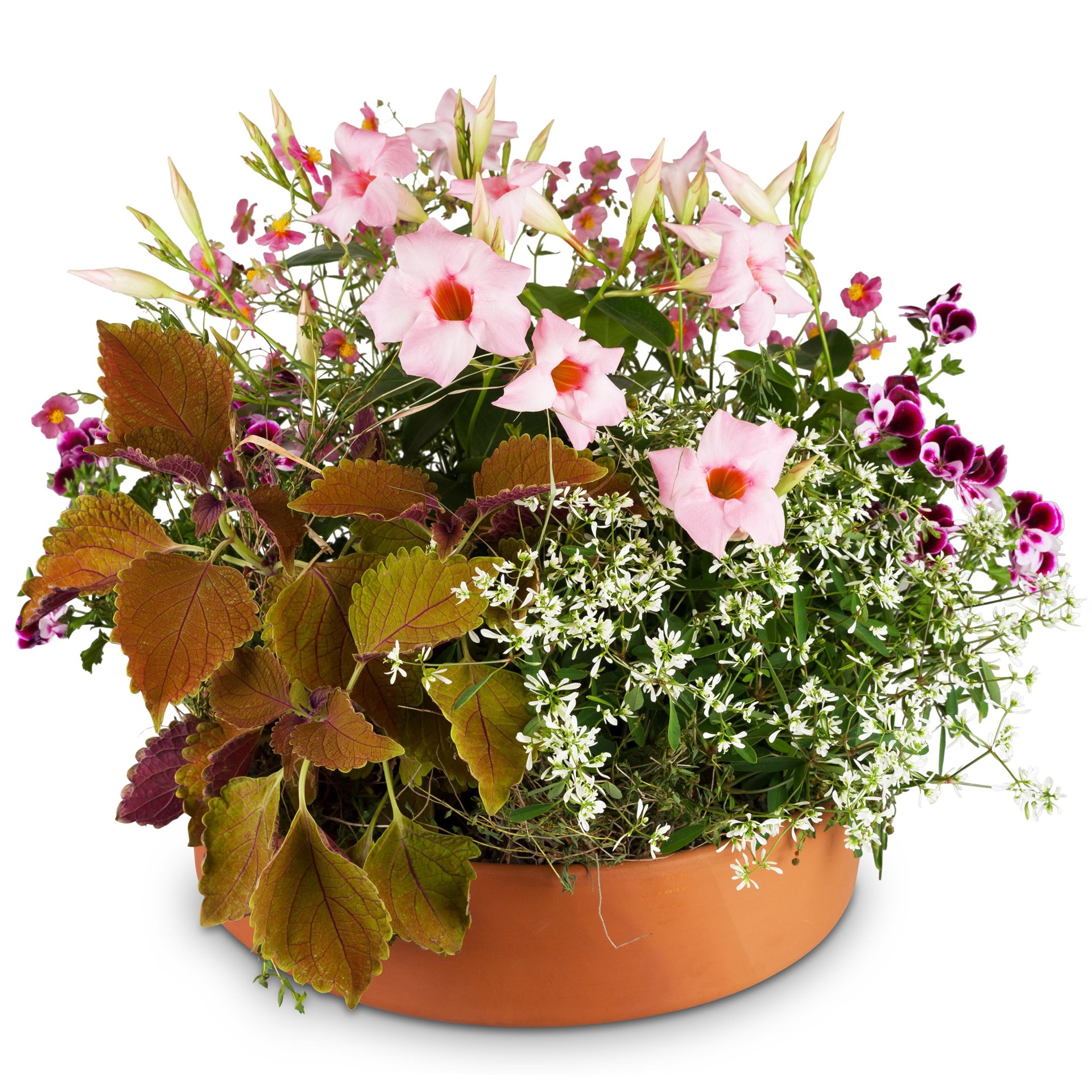 product image for Planter 'Always Remembered' for the cemetery