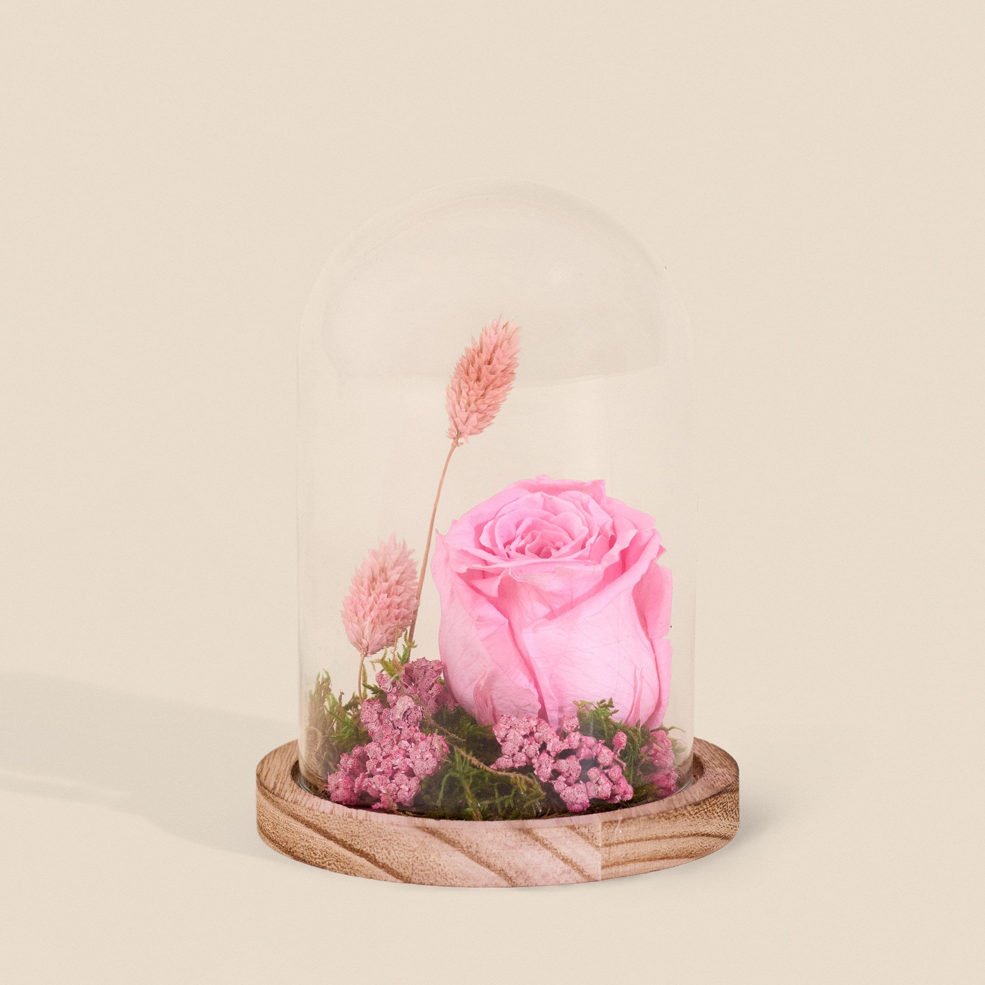 Pink eternal rose composition