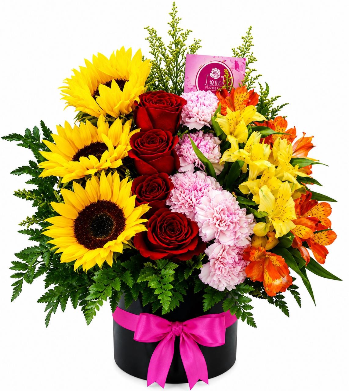 product image for Colors54