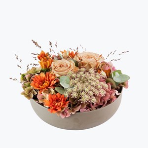 Autumn Bowl 240425