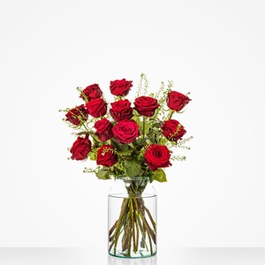 Lovely red roses
