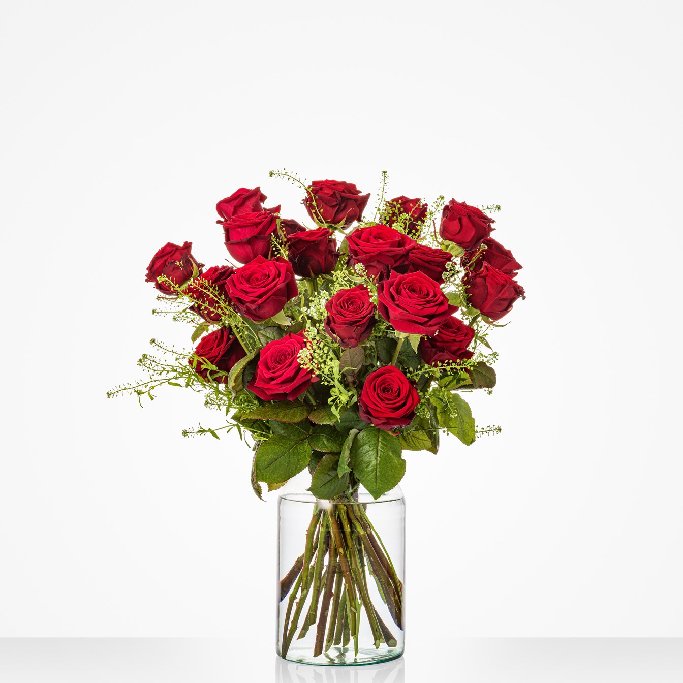 Lovely red roses