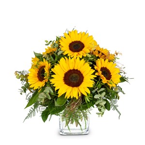 Bouquet Sunflowers Pure