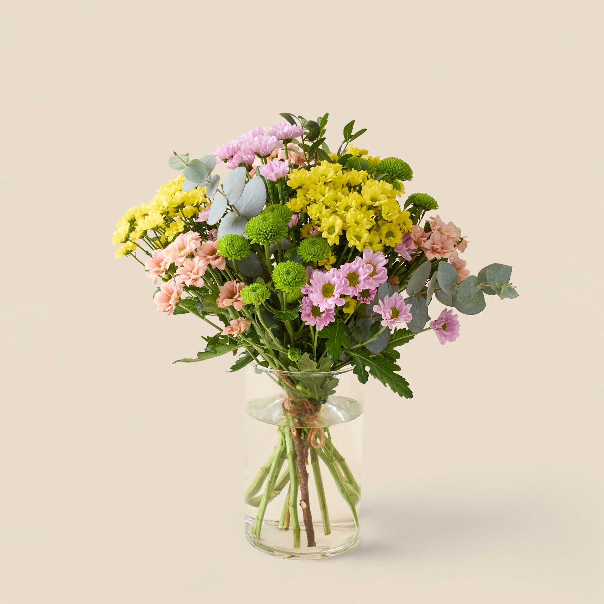product image for Atenea, FF023PT